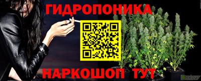 не бодяженный Можга