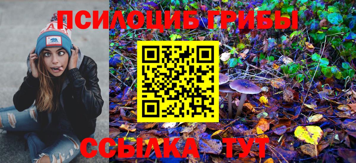 Заринск  Псилоцибиновые грибы прущие грибы  Вход с VPN 